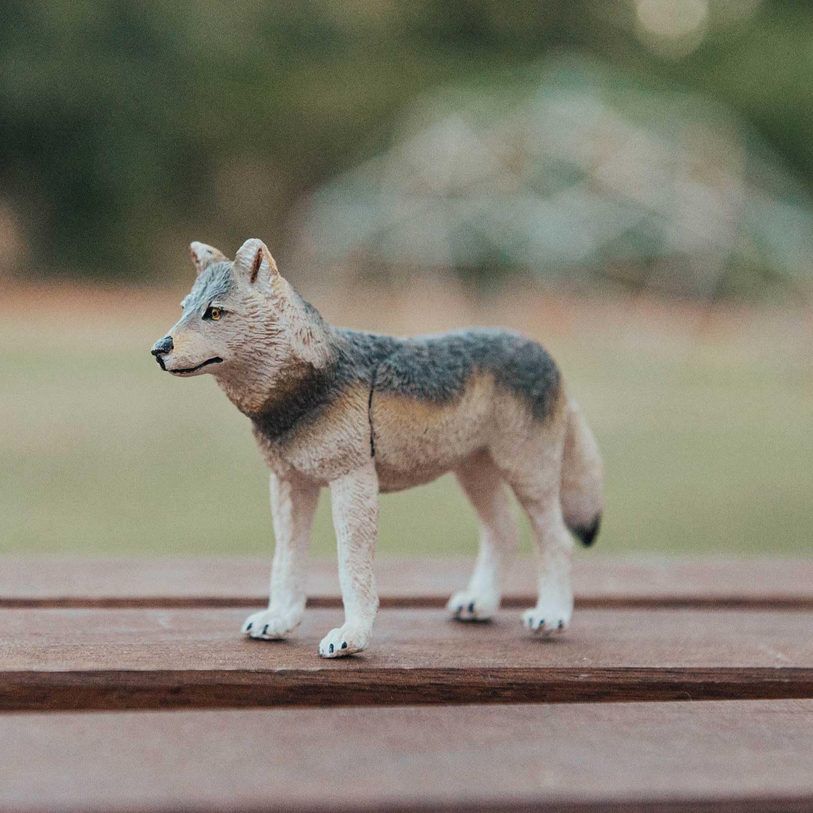 Safari Ltd. Gray Wolf Figurine - Realistic 4" Plastic Wolf Figure - Educational Toy for Boys, Girls, and Kids Ages 3+