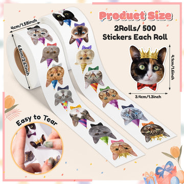 DSjuedui Birthday Cat Sticker Rolls - 1000Pcs Happy Birthday Cute Cat Vinyl Stickers for Kids Adults, Funny Realistic Kitty Waterproof Decals
