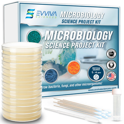 Evviva Sciences Microbiology Science Project Kit, Pre-Poured Agar Plates for Students, Agar Petri Dishes to Learn Microbiology, with Educational