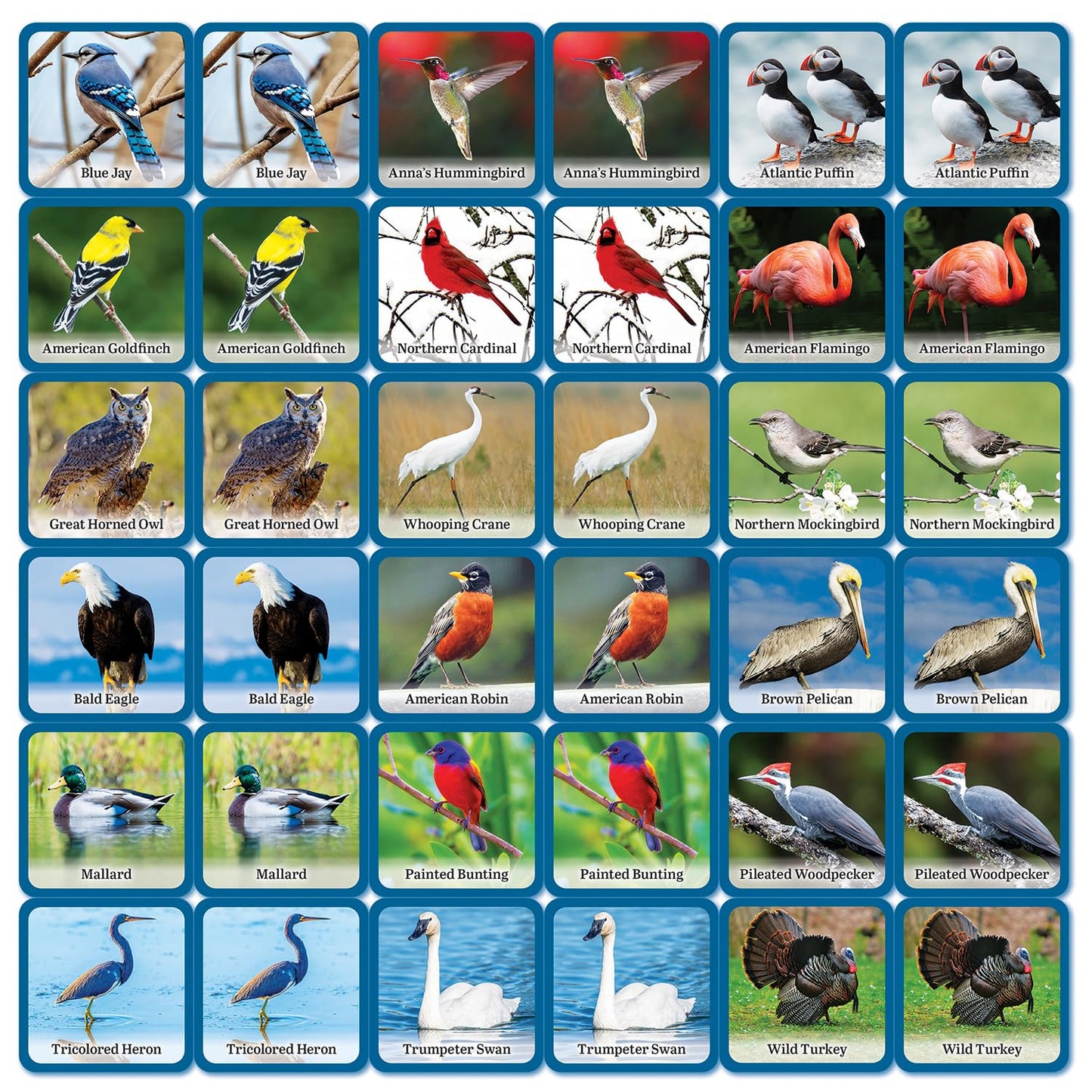 Masterpieces Officially Licensed Audubon Picture Matching Card Game for Kids and Families