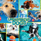 Buffalo Games - Underwater Dogs - 1000 Piece Jigsaw Puzzle