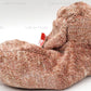 TY Beanie Baby - SNIFFER the Dog [Toy]