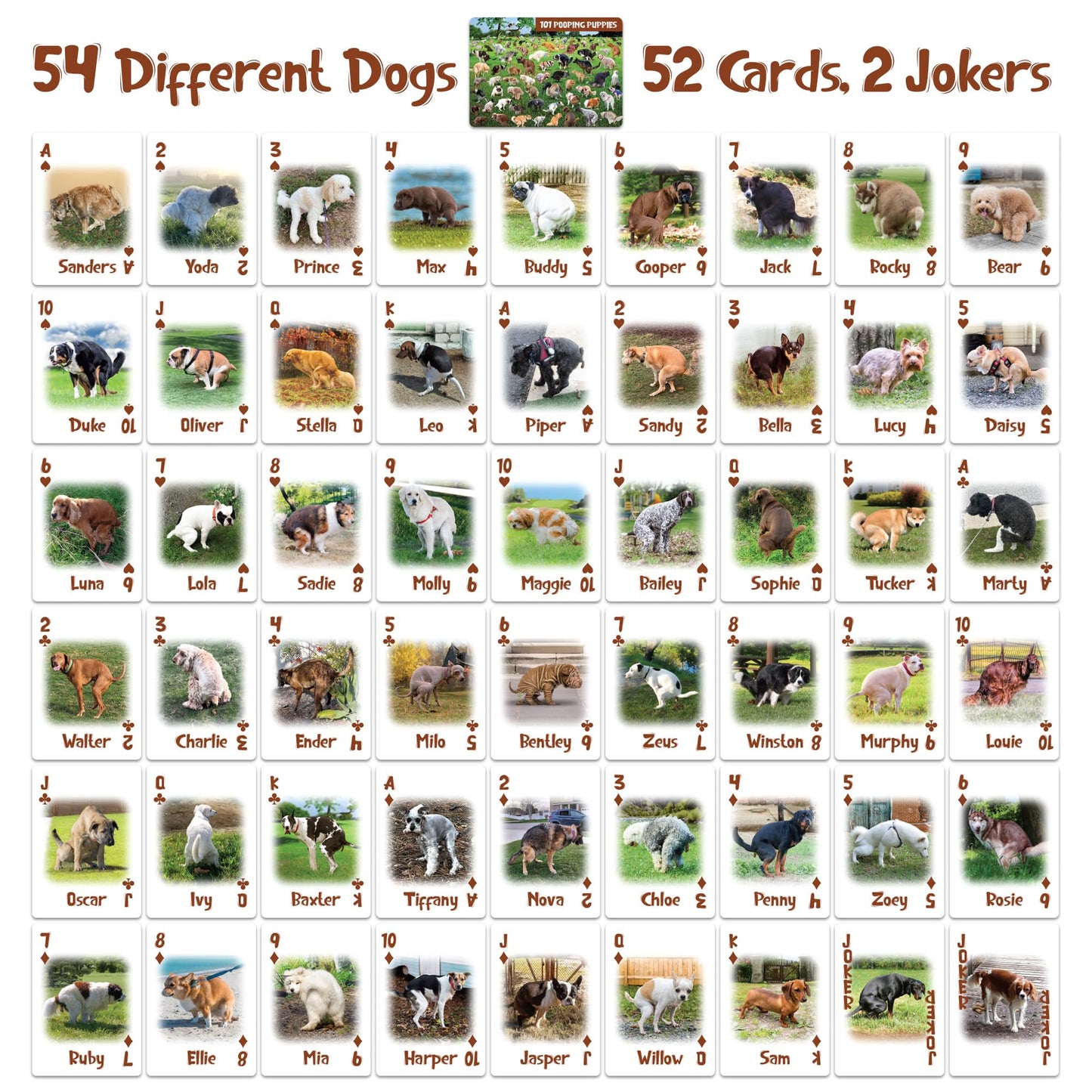 Funwares Ace of Poops - Hilarious Waterproof Card Deck with 54 Unique Dogs Pooping, Durable Plastic Playing Cards, Perfect for Parties, Family Game