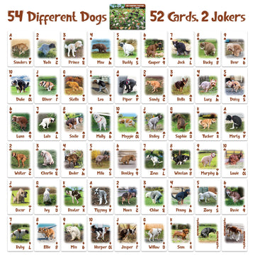 Funwares Ace of Poops - Hilarious Waterproof Card Deck with 54 Unique Dogs Pooping, Durable Plastic Playing Cards, Perfect for Parties, Family Game