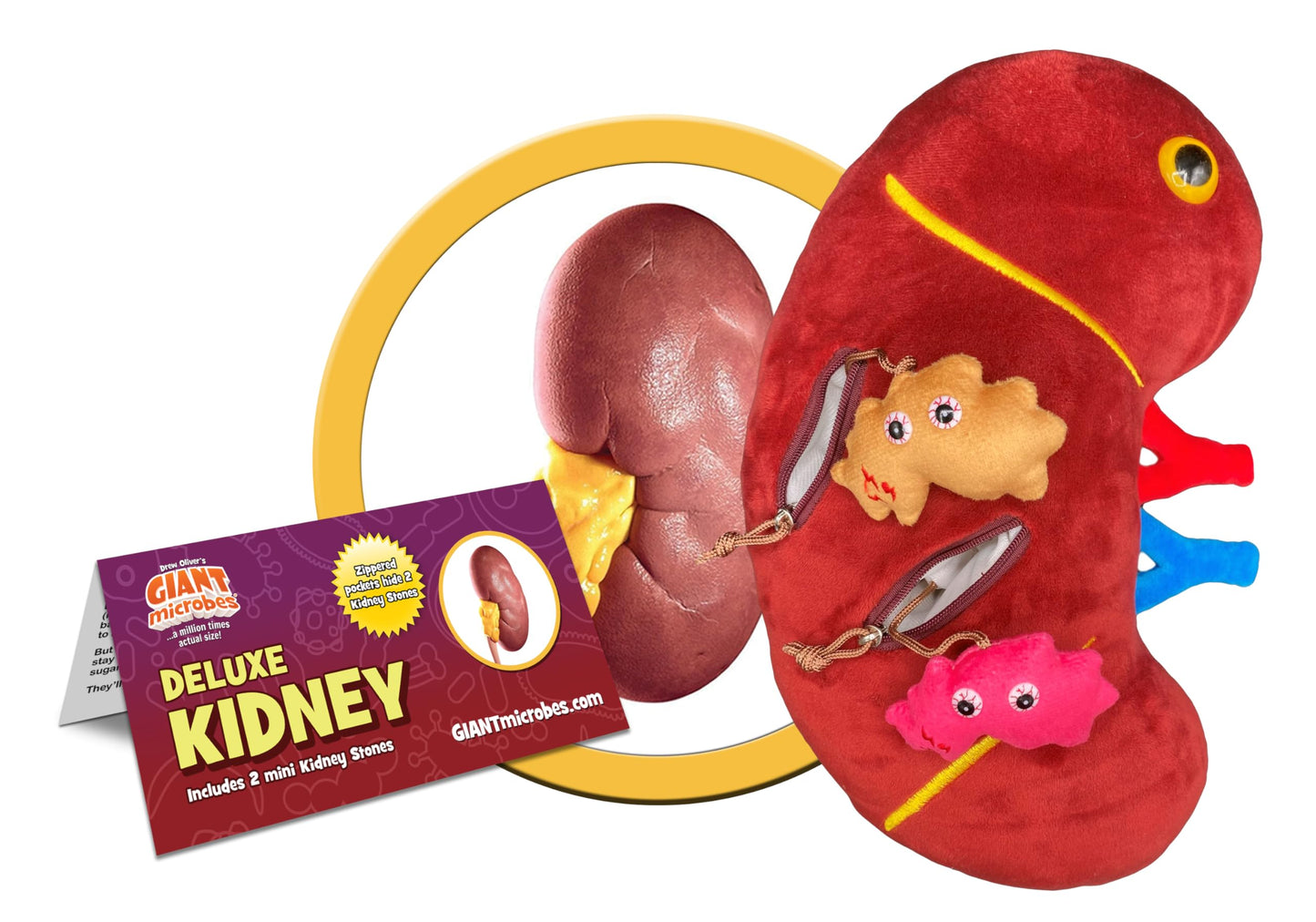 GIANTmicrobes Deluxe 12" Kidney Plush with Kidney Stones, Kidney Stuffed Animal, Kidney Transplant Gifts, Kidney Donor Gifts, Kidney Pillow, Urology