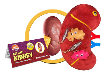 GIANTmicrobes Deluxe 12" Kidney Plush with Kidney Stones, Kidney Stuffed Animal, Kidney Transplant Gifts, Kidney Donor Gifts, Kidney Pillow, Urology