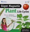 Learning Resources Giant Magnetic Plant Life Cycle - STEM Growing Seed, Montessori Tree , Biology Cards, Classroom Teacher Must Haves Activities
