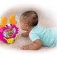 Fisher-Price Growing Baby Clack & Play Crab
