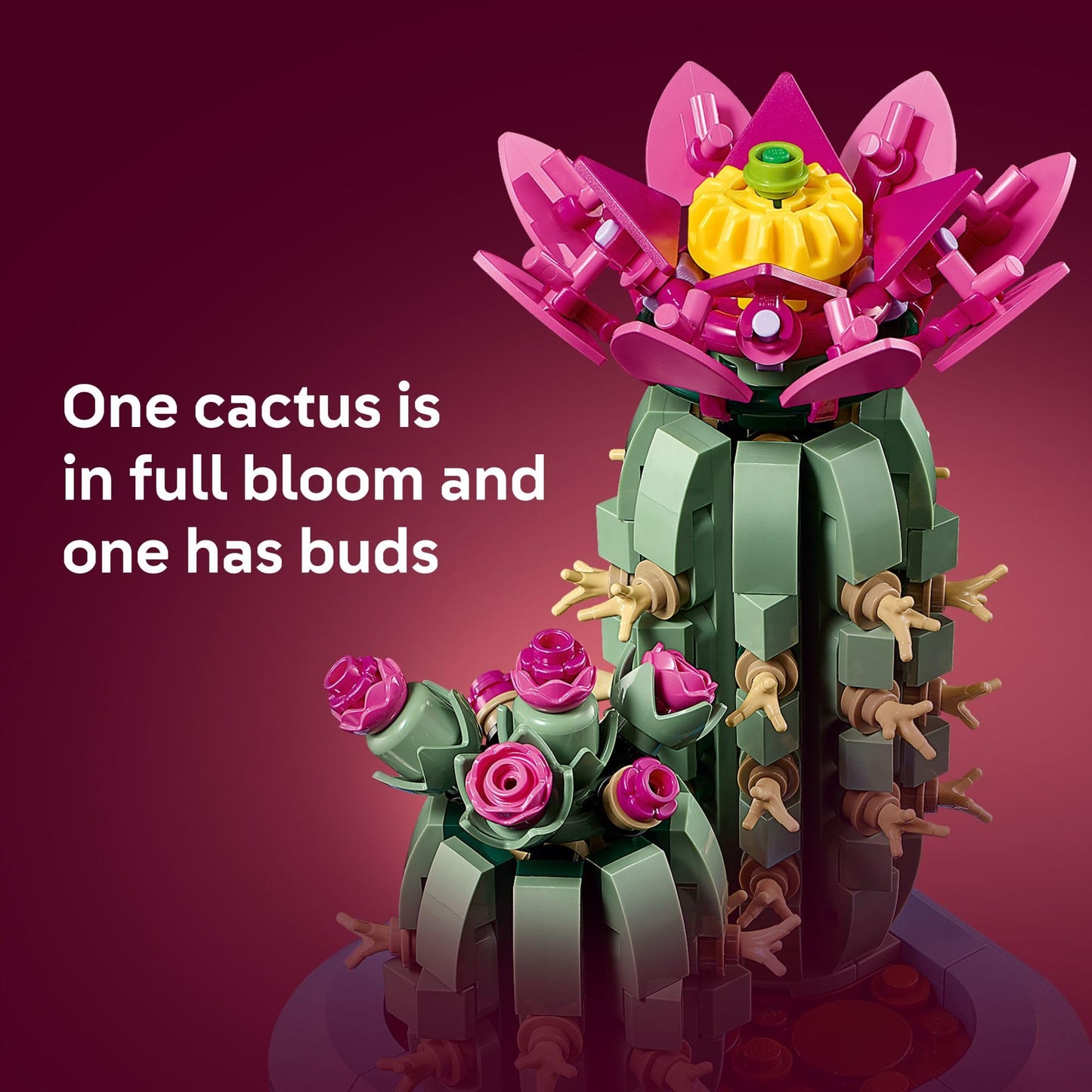 LEGO Botanicals Flowering Cactus Building Toy - Crafting Kit for Girls & Boys, Ages 9+ - Gift for Birthdays - Cactus Room Decor for Display