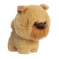 Aurora - Teddy Pets - 7" Griffon Bruxellois