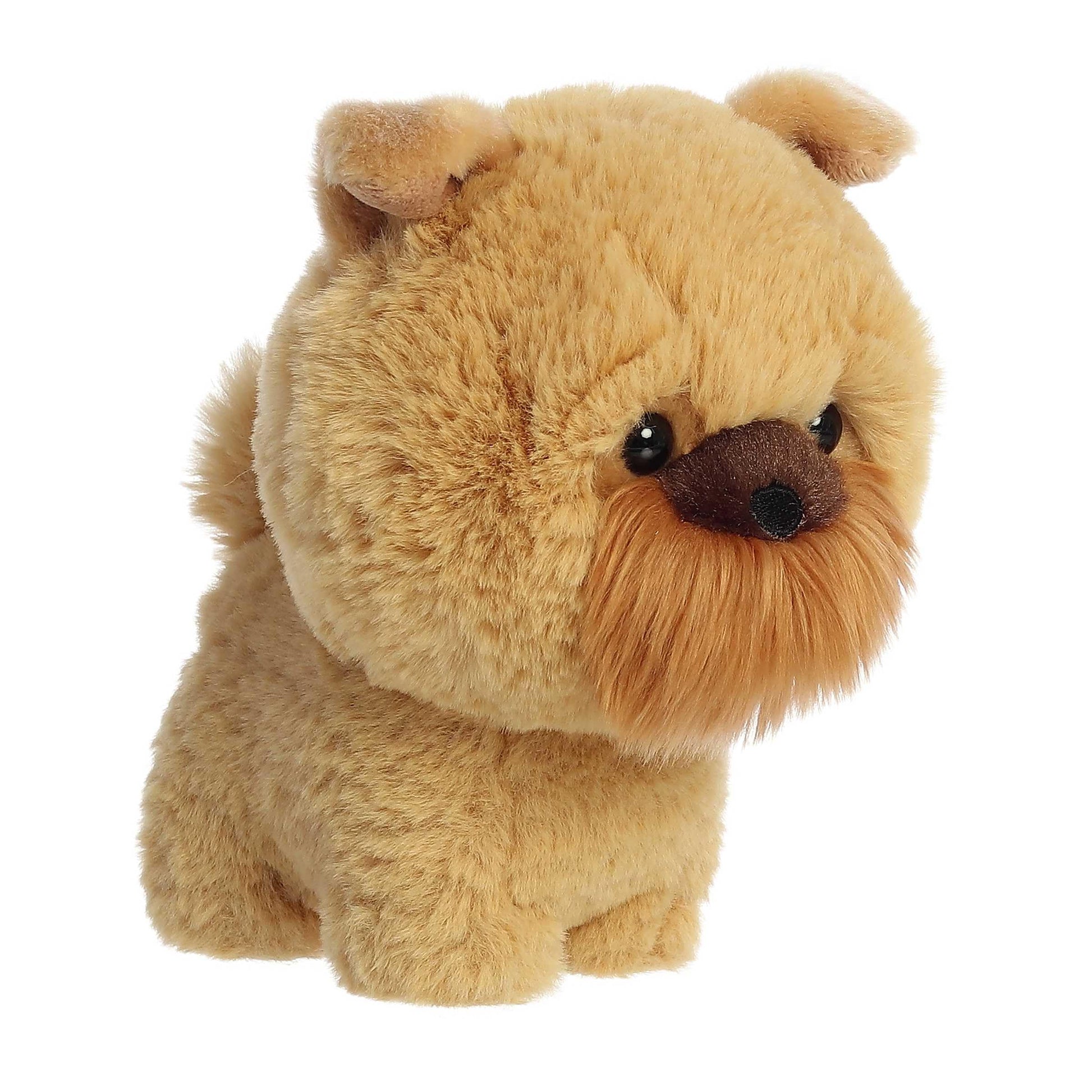 Aurora - Teddy Pets - 7" Griffon Bruxellois