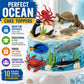 Safari Ltd. Pacific TOOB - 10 Miniature Marine Animal Figures - Educational Toy Set for Boys, Girls, and Kids Ages 3+