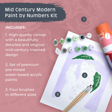 Pink Picasso Kits Mid Century Modern Paint by Number for All Ages | DIY Color by Numbers Craft Kit Acrylic Paint Canvas Beginners Painting Kits as