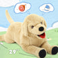 Lanmore 29" Dog Stuffed Animal Large Puppy Plush Golden Retriever Dogs Hugging Pillow for Kids Girlfriend, Gift for Special Day(Light Brown)
