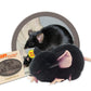 GIANTmicrobes Black Lab Mouse - Learn about Nature and Science with this Lab Research Animal, Memorable Gift for Lab Workers, Scientists, Students