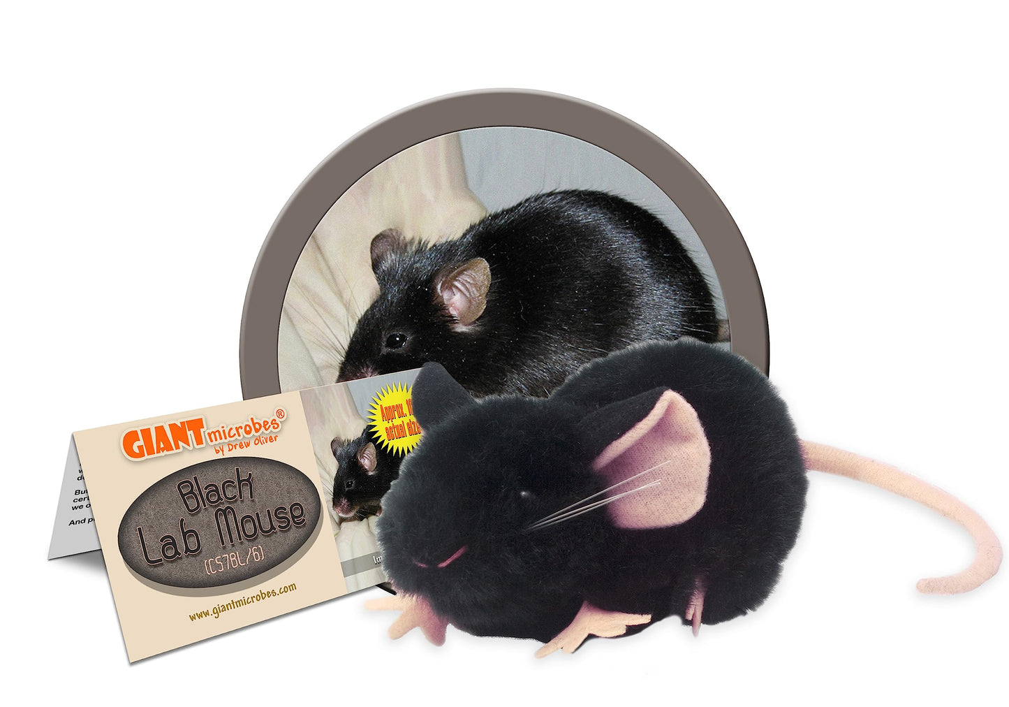 GIANTmicrobes Black Lab Mouse - Learn about Nature and Science with this Lab Research Animal, Memorable Gift for Lab Workers, Scientists, Students