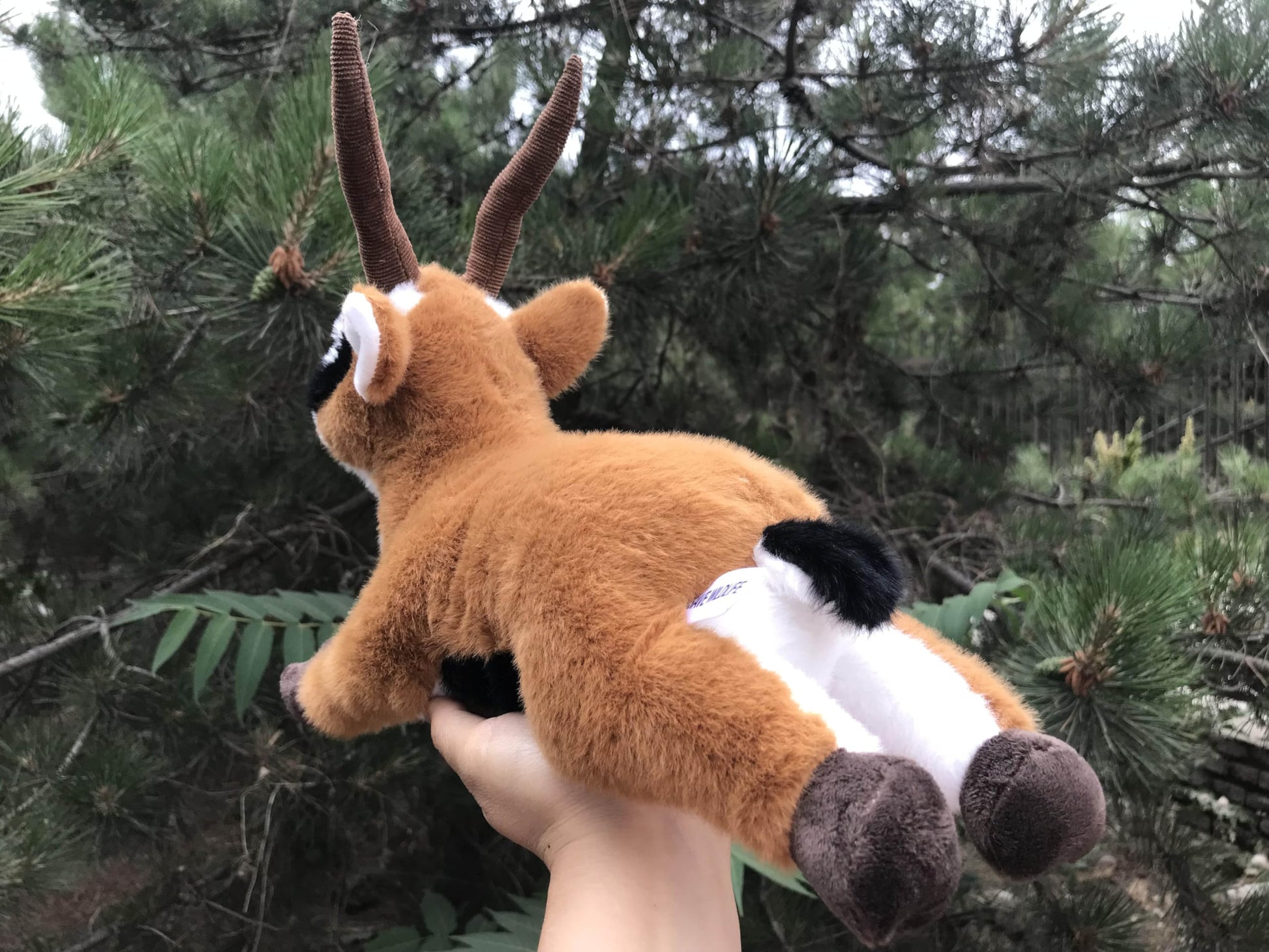 TAMMYFLYFLY Soft Antelope Plush Toy, Stuffed Animal Doll,Cute Antelope Plush Doll,30cm (A-Lying)