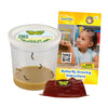 Insect Lore Cup of Caterpillars - 5 Live Painted Lady Caterpillars with Food - Refill for Butterfly Garden Kit - Chrys-A-Lid Holding Log Included