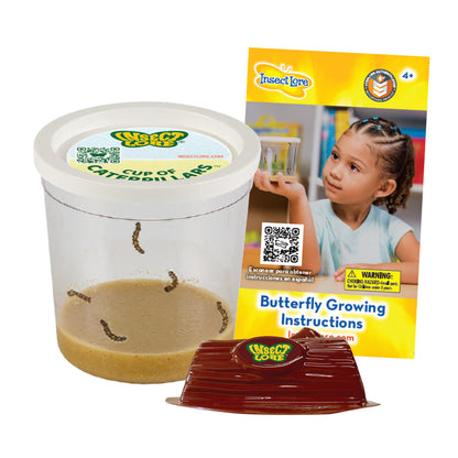 Insect Lore Cup of Caterpillars - 5 Live Painted Lady Caterpillars with Food - Refill for Butterfly Garden Kit - Chrys-A-Lid Holding Log Included
