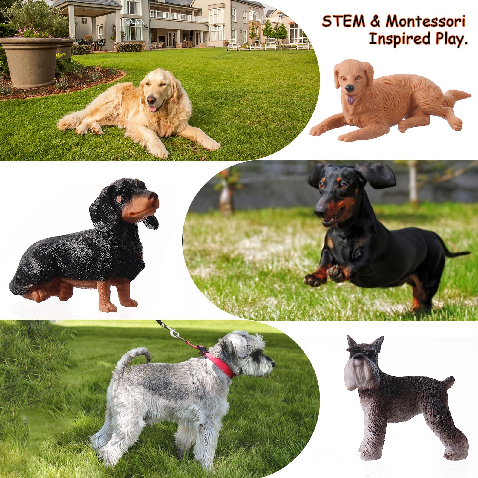 HOMNIVE Dog Figures for Kids, 12pcs Plastic Realistic Puppy Figurines, Small Dog Cake Topper, Learning Educational Toys for Christmas Birthday Gift