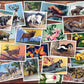 Buffalo Games - NWF Stamp Collage - 1000 Piece Jigsaw Puzzle for Adults