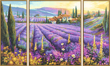 NORRIS Paint By#S: Lavender Fields (Tryptych) Paint by#