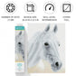 DIAMOND DOTZ Arabian Beauty Horse Diamond Painting Kits for Adults - Diamond Art Kits a Relaxing Creative Craft Kit with Dotz Gems 12.2"x16.1"