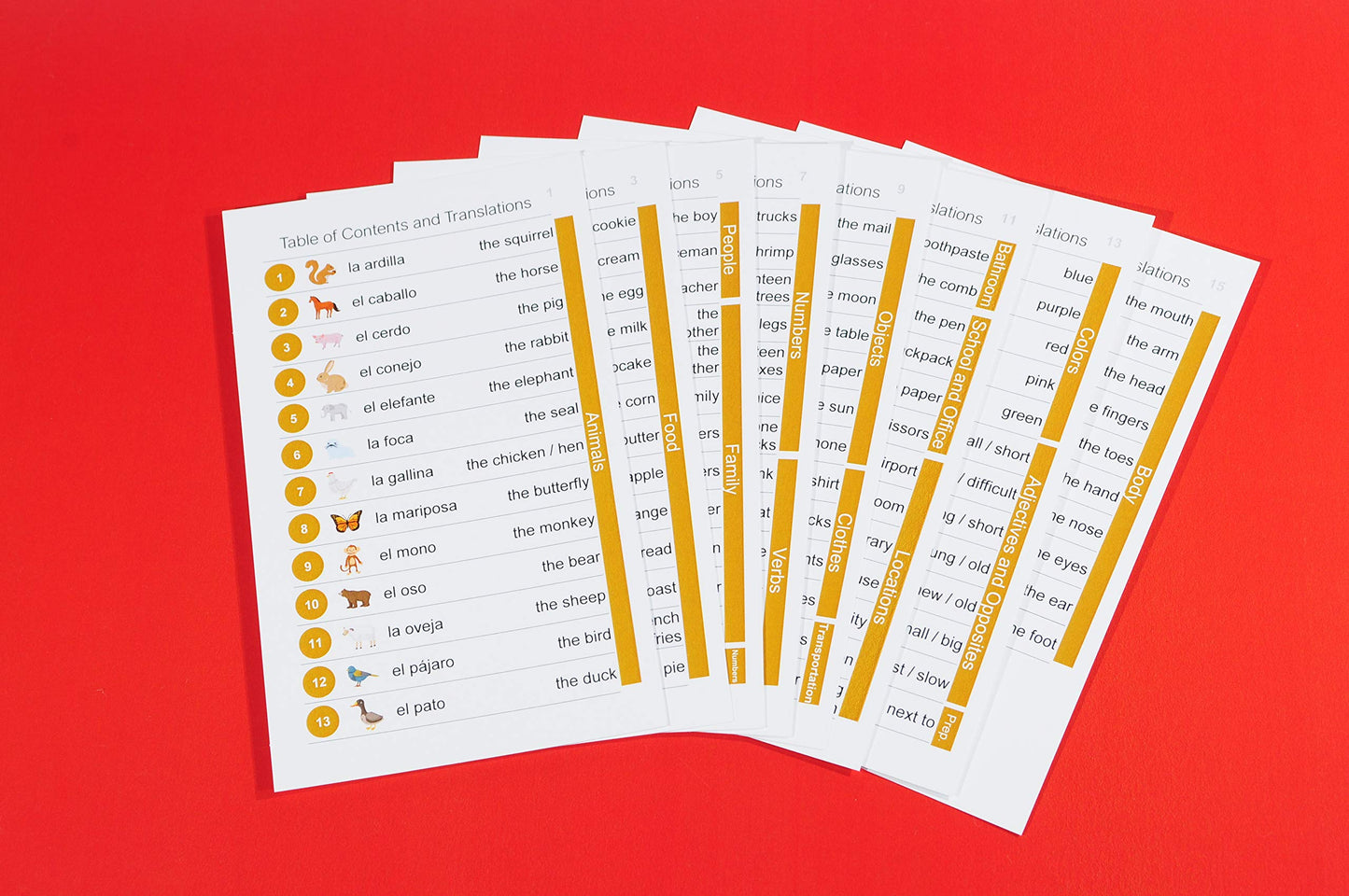 Pat's Flash Cards 192 Spanish Beginning Vocabulary Flash Cards with Original Artwork - For All Ages