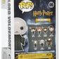 Funko POP Harry Potter - Voldemort Vinyl Figure, Multi