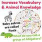Animal Flash Cards for Toddlers & Kids - Animal ABC Flashcards - Animal Alphabet - 101 Toddler Flashcards - Preschool Flash Card for Kids - Farm, Sea