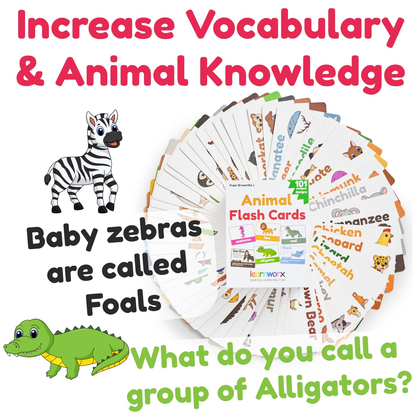 Animal Flash Cards for Toddlers & Kids - Animal ABC Flashcards - Animal Alphabet - 101 Toddler Flashcards - Preschool Flash Card for Kids - Farm, Sea