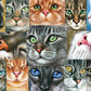 Buffalo Games - Cats Close-up - 750 Piece Jigsaw Puzzle for Adults