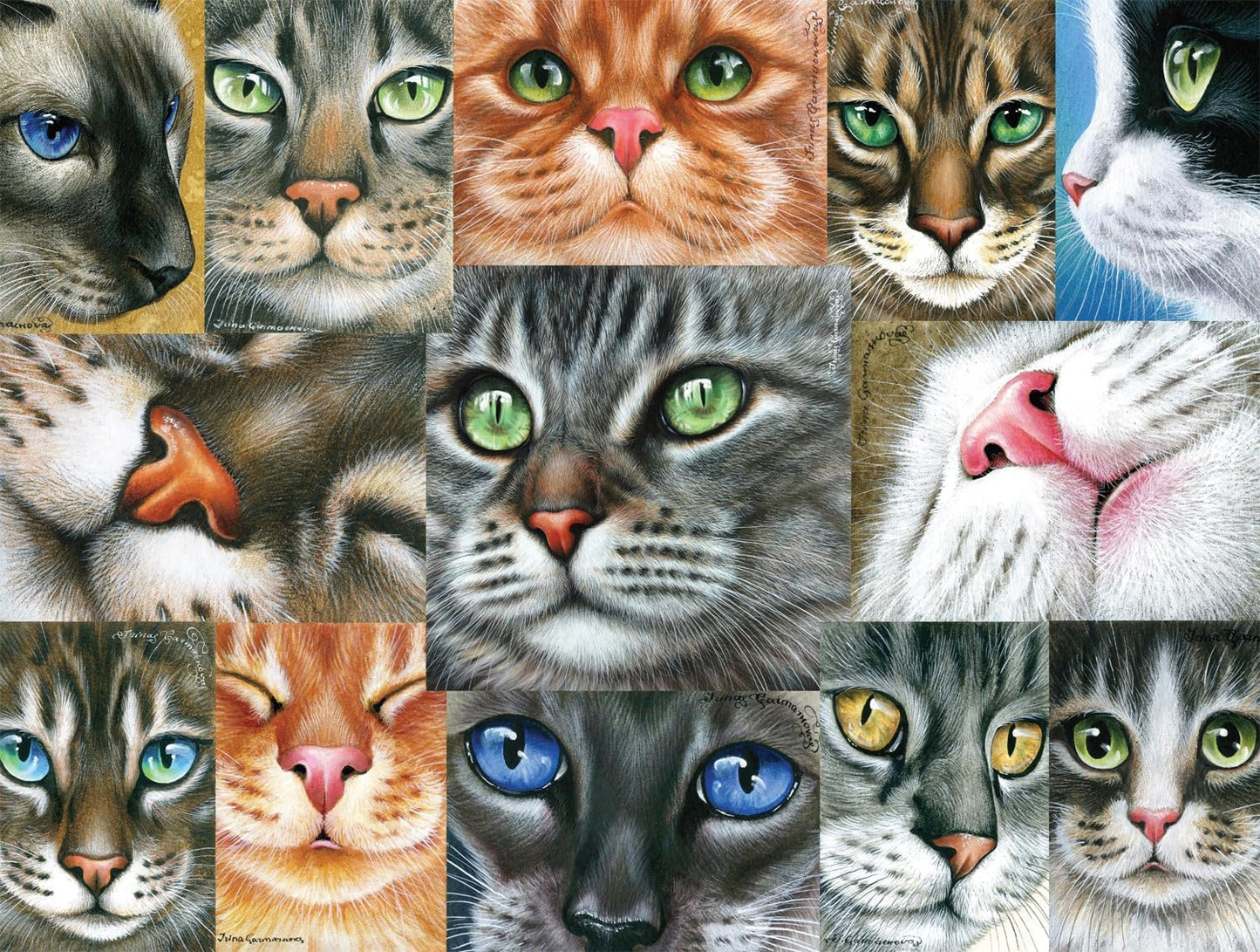 Buffalo Games - Cats Close-up - 750 Piece Jigsaw Puzzle for Adults