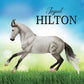 Breyer Horses Traditional Series | Jaguel Hilton - Criollo Stallion| Model # B-TR-10668