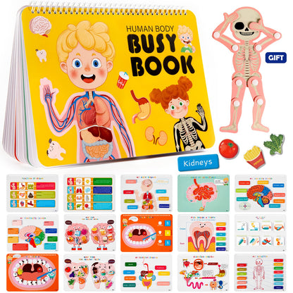 Freebear Montessori Busy Book for Kids, Human Body Anatomy Book for Toddlers, Preshool Kindergarten Learning Activities, Autism Sensory Toys, Travel