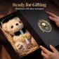 Numyawl 2026 Graduation Bear with Gift Box, 8 Inch Plush Teddy Bear for Kindergarten & Preschool Graduates, Soft Commemorative Keepsake with Cap