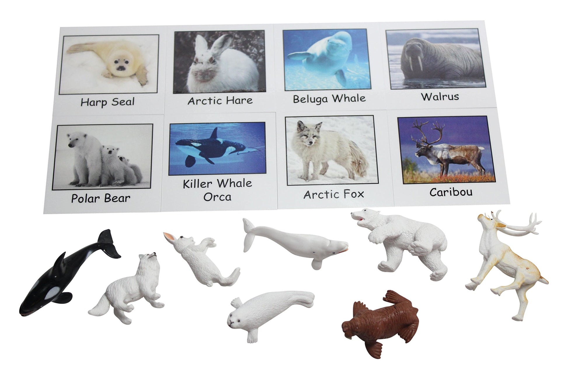 Montessori Arctic Polar Animal Match - Miniature Arctic Animal Toy Figurines with Matching Cards - 2 Part Cards. Montessori Learning Toy, Language
