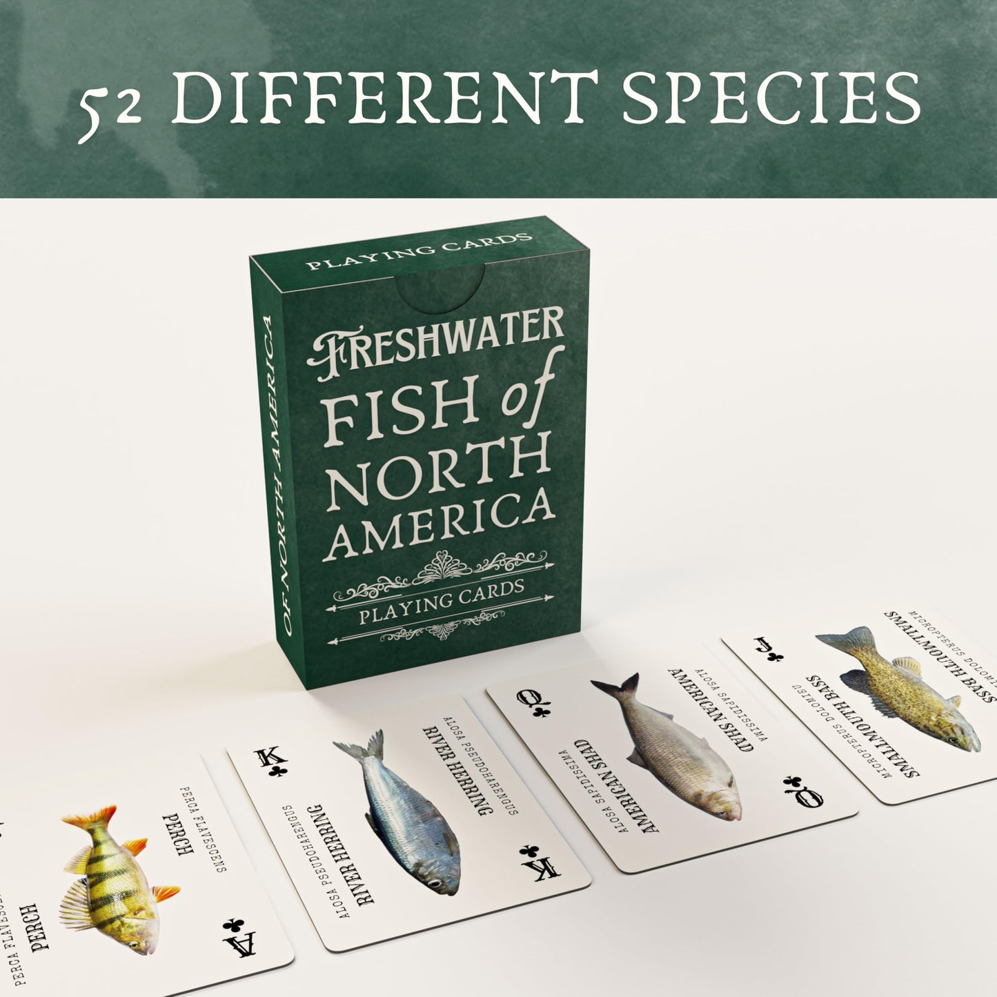 Crane Publishing Group LLC Freshwater Fish Plastic Playing Cards: Waterproof, Educational, Fits Any Fishing Tackle Box, 52 Species, Ages 60+