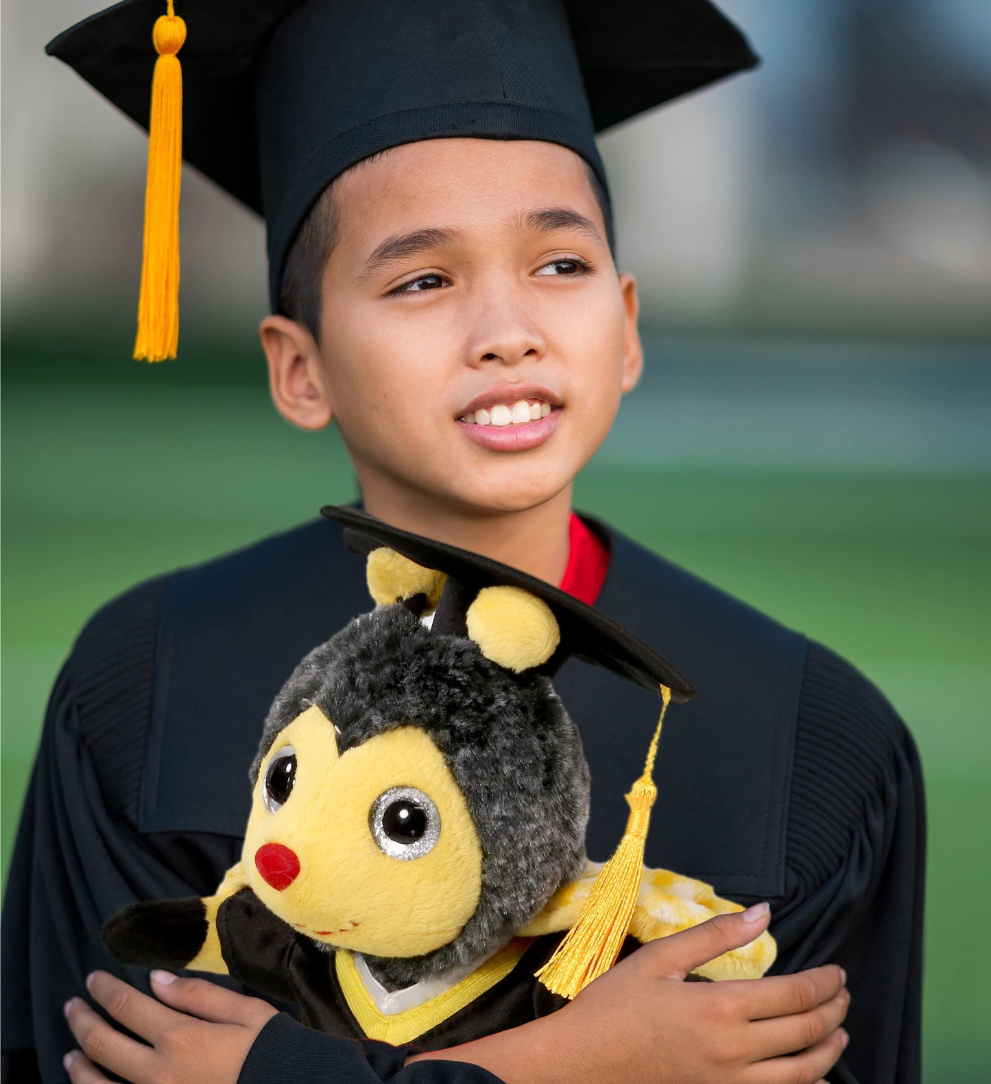 DolliBu Sitting Honeybee Graduation Plush Toy - Super Soft Graduation Stuffed Animal Dress Up with Gown and Cap with Tassel Outfit - Cute