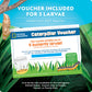 National Geographic Butterfly Growing and Bug Catcher Kit for Kids