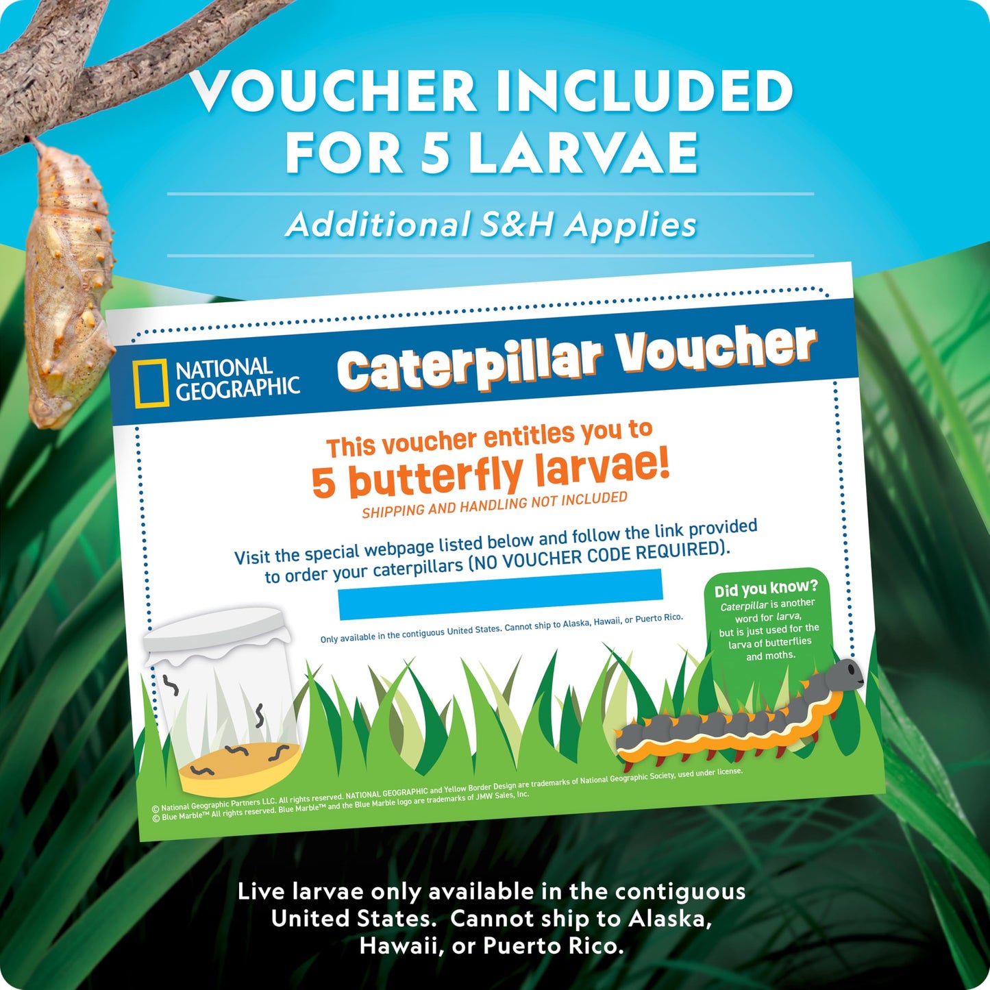 National Geographic Butterfly Growing and Bug Catcher Kit for Kids