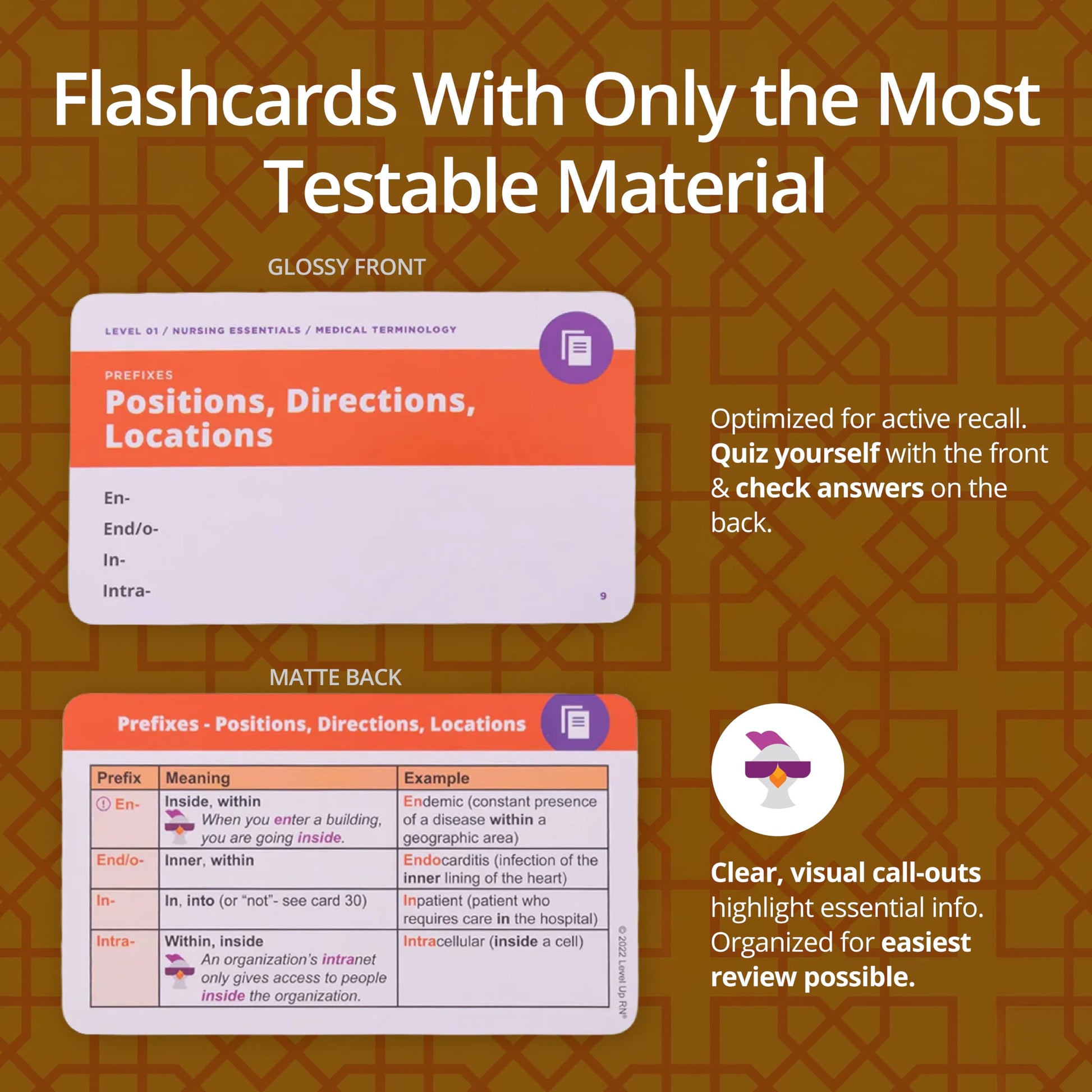 Medical Terminology Flash Cards - 559 prefixes, Roots, suffixes, Key Terms - Plus 397 Examples and 159 Easy Memorization Tips + Illustrations. Related
