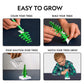 National Geographic Craft Kits for Kids - Crystal Growing Kit - Grow a Crystal Garden in Just 6 Hours, Educational Craft Art Project, STEM Crafts