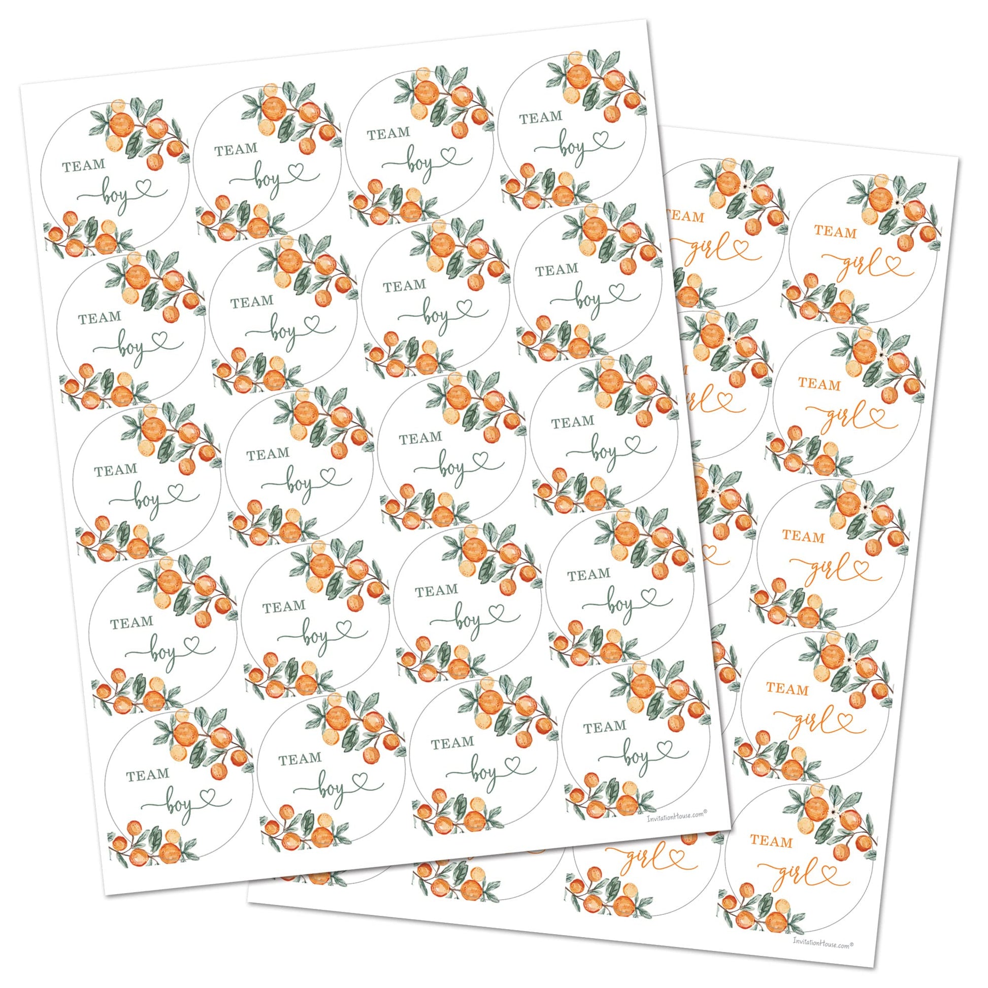 Little Cutie Orange Gender Reveal Stickers - 40 Labels (20 of Each Design)