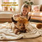 Wuehuds 5Lbs Weighted Highland Cow Stuffed Animal, 22×14×12 Inch Plush Toy Pillow, Adorable Weighted Stuffed Animal for Kids & Adults, for Christmas