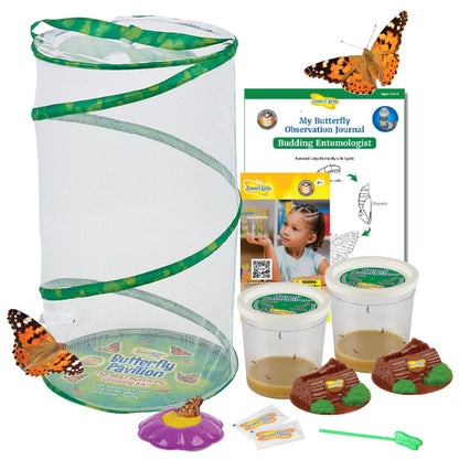 Insect Lore Butterfly Pavilion with Two Live Cups of Caterpillars - 2ft Tall Habitat, STEM Butterfly Journal, 10 Live Baby Caterpillars - Life Science