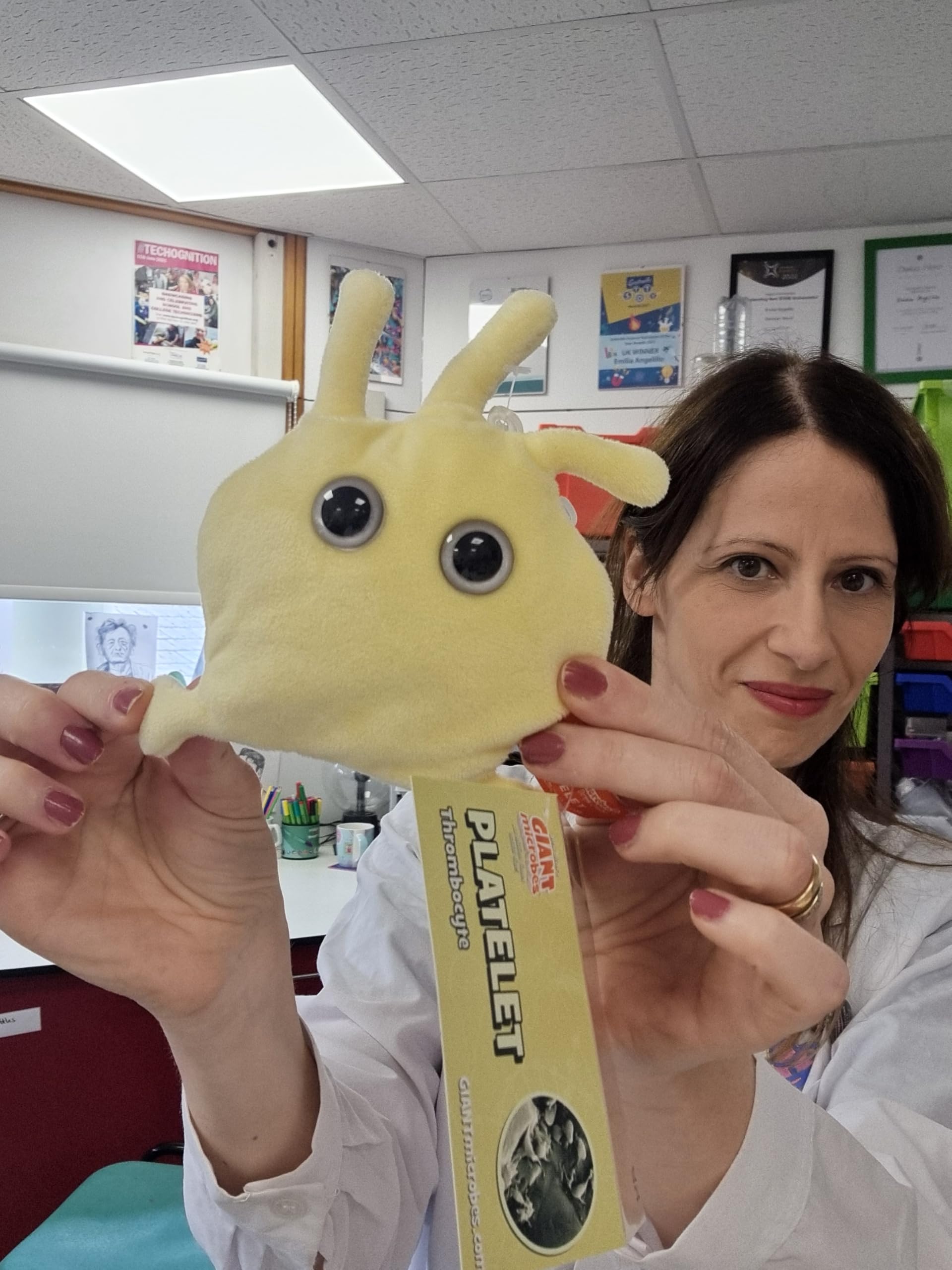 GIANTmicrobes Platelet Plush, Blood Cell Plush, Blood Bank, Gifts for Lab Techs, Hematology, Phlebotomy Gifts, Phlebotomist Gift, Circulatory System