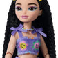 Barbie Dream Besties Skate Party Renee Doll and Accessories