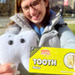 GIANT MICROBES Tooth Plush, Oral Surgery Recovery, Dentist Appreciation Gifts, Tooth Fairy Pillow, Dentist Toy, Dental School Gifts