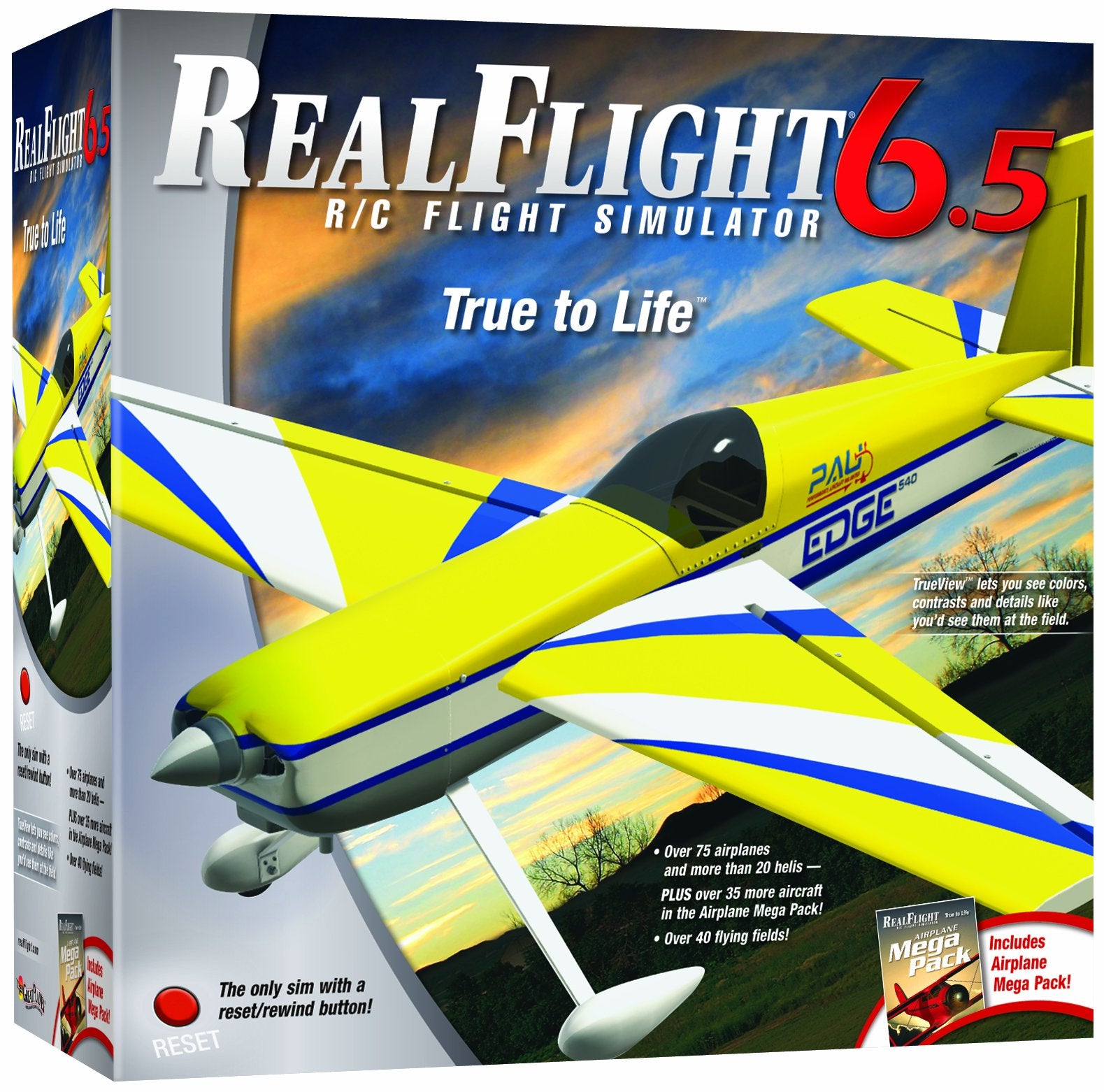 Great Planes RealFlight 6.5 Airplane with Mode 2 Interlink
